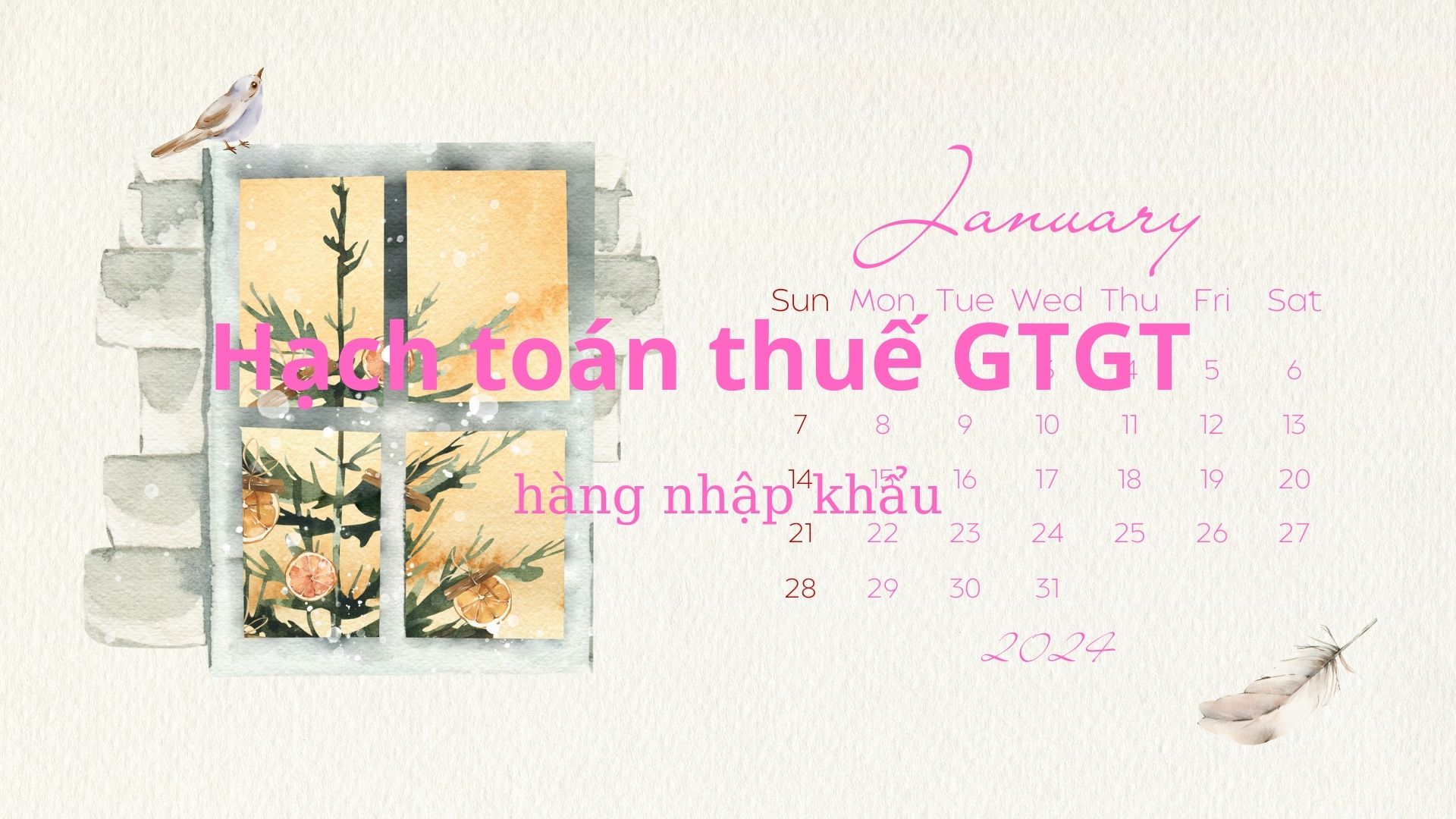 hach-toan-thue-gtgt-hang-nhap-khau